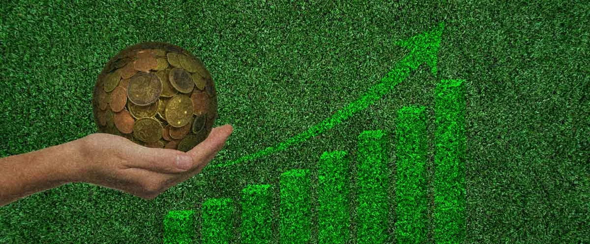 liquidità betting exchange